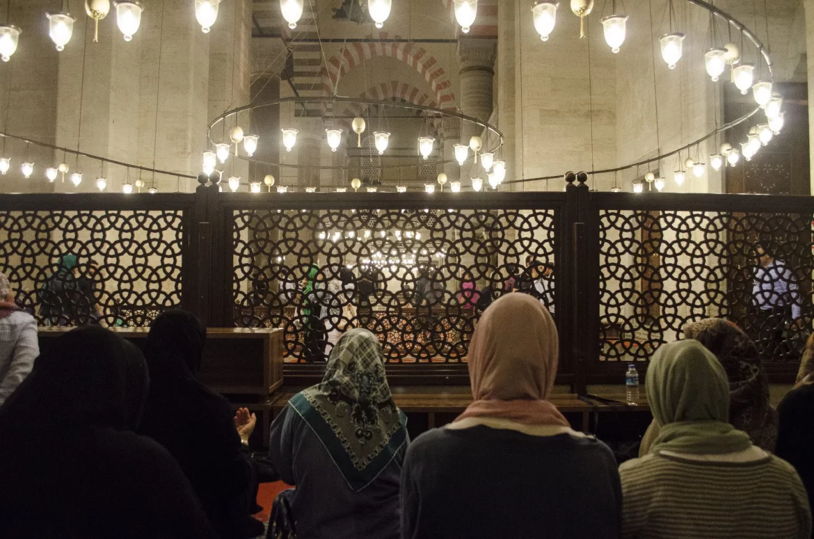 Per_Zein_Figure1-scaled