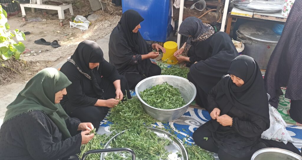 Arbaeen Imam Hussain Iranian women Iraqi women