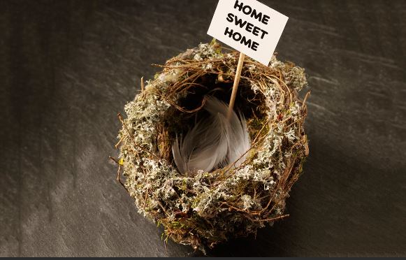 Empty nest syndrome